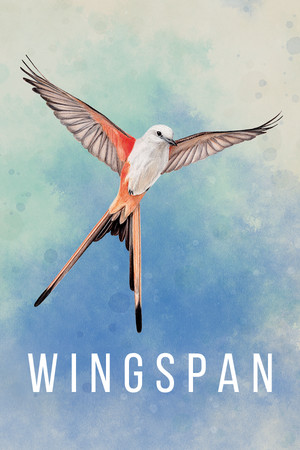 展翅翱翔/WINGSPAN 免费下载：170种鸟类的引擎构筑策略桌游-宝藏秀